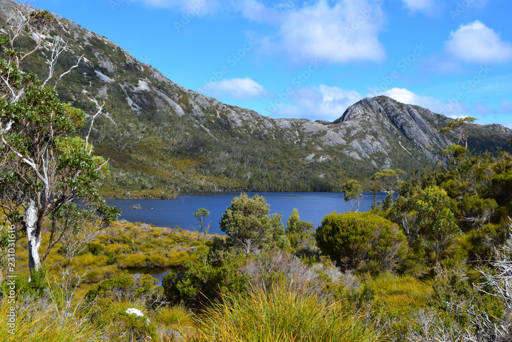 Lake St Clair landscape, Tasmania, Australia