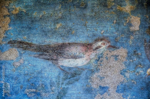 Szczegółowa ptasia farba przy ruinami Pompeii, Włochy