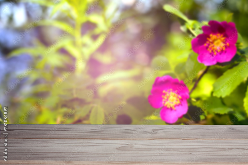 flowers on wooden background flowers on wooden background