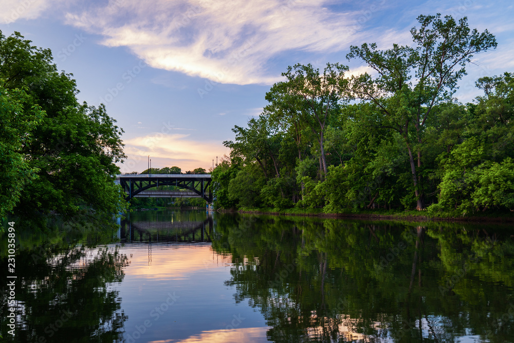Green Trees along the Humber River in Toronto Summer