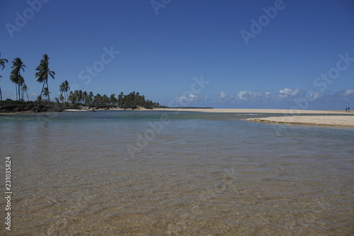 Beautiful meeting of the river and the beach with a clear sky and calm and very transparent water