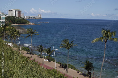 Awesome aereal view of a wonderful beach in Bahia, Brazil
