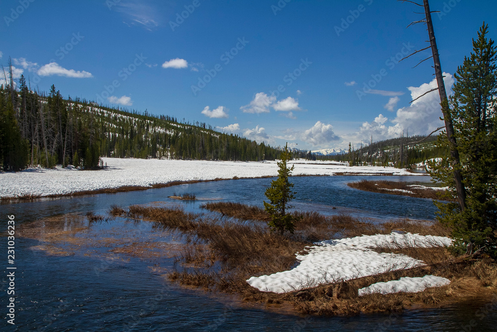 River flowing in a snowy landscape at Yellowstone National Park