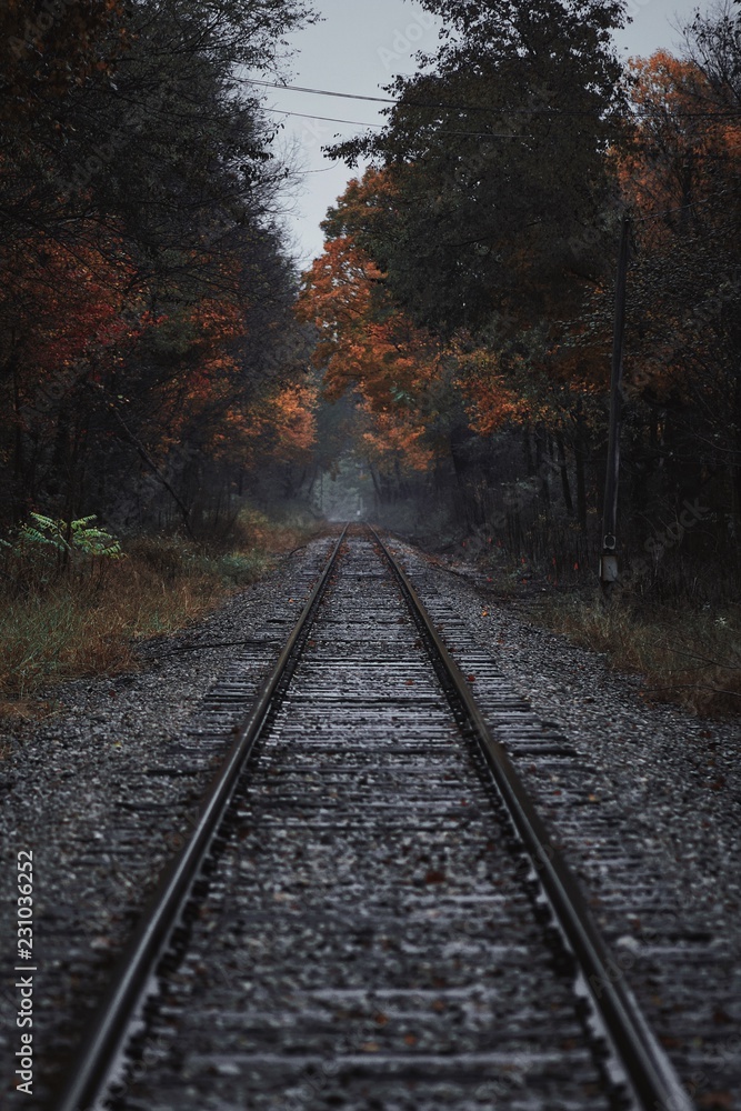 Fall Railroad