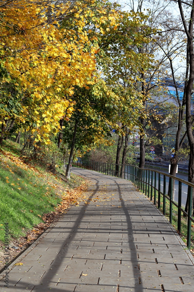 Alley in the autumn Alley in the autumn