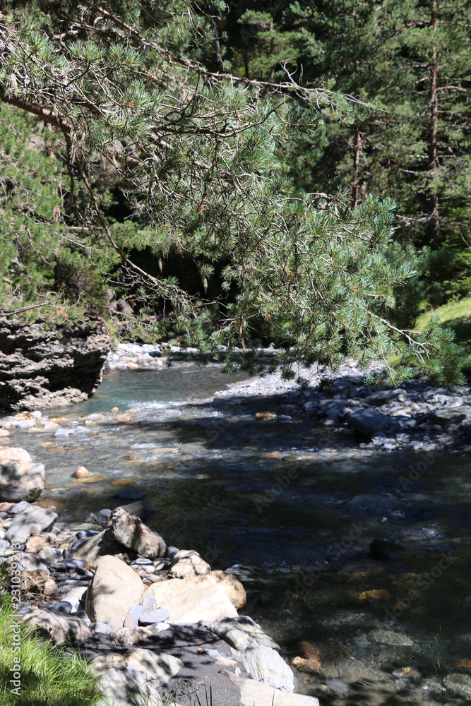 Fototapeta premium Vallée du Rioumajou