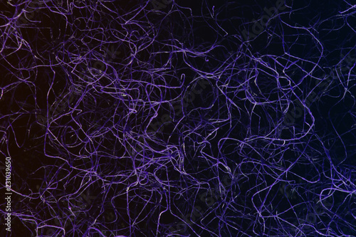  Neuron fiber microscope