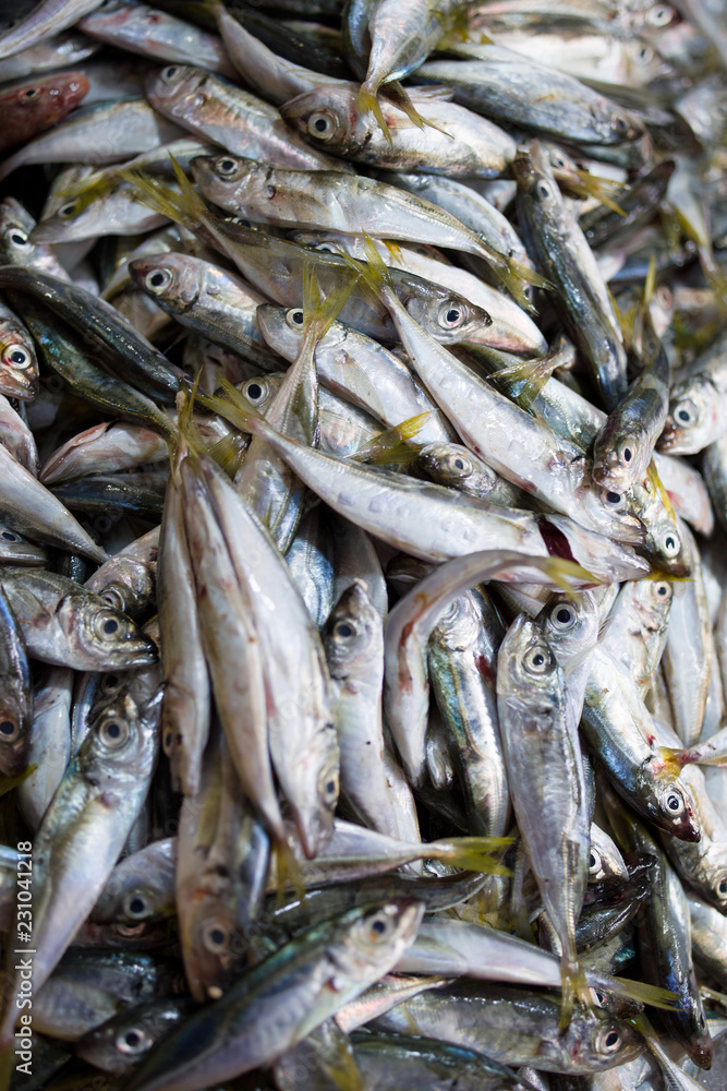 Sea fish in the market Sea fish in the market