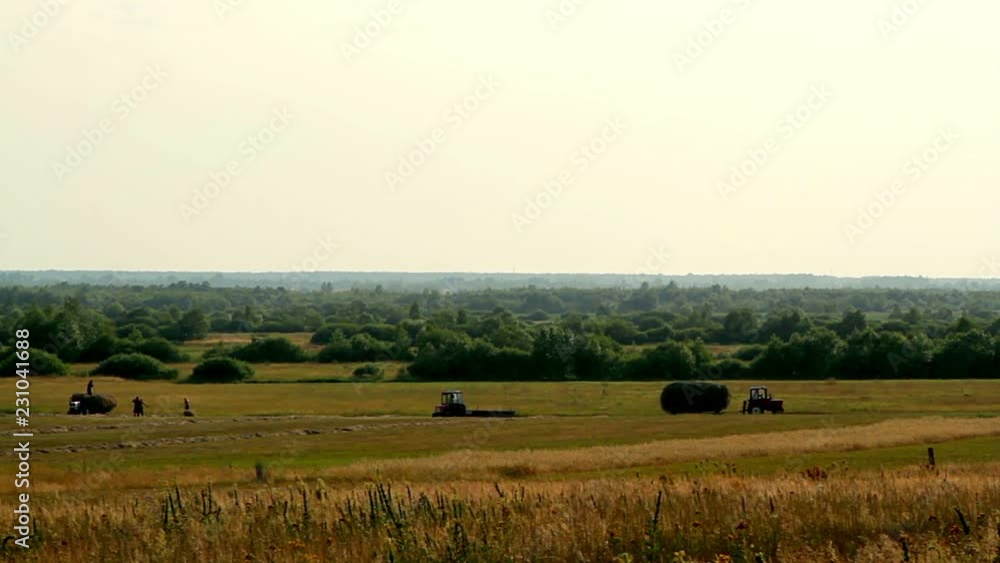 tractor and the people on the field, harvesting at summer, agriculture and harvester, Farmers loading hay at a small truck in a hay field with a pagoda on background tractor and the people on the field, harvesting at summer, agriculture and harvester, Farmers loading hay at a small truck in a hay field with a pagoda on background