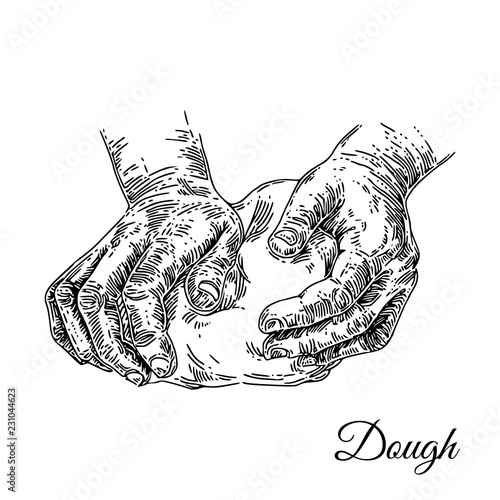 Hands knead the dough. Sketch. Engraving style. Vector illustration.