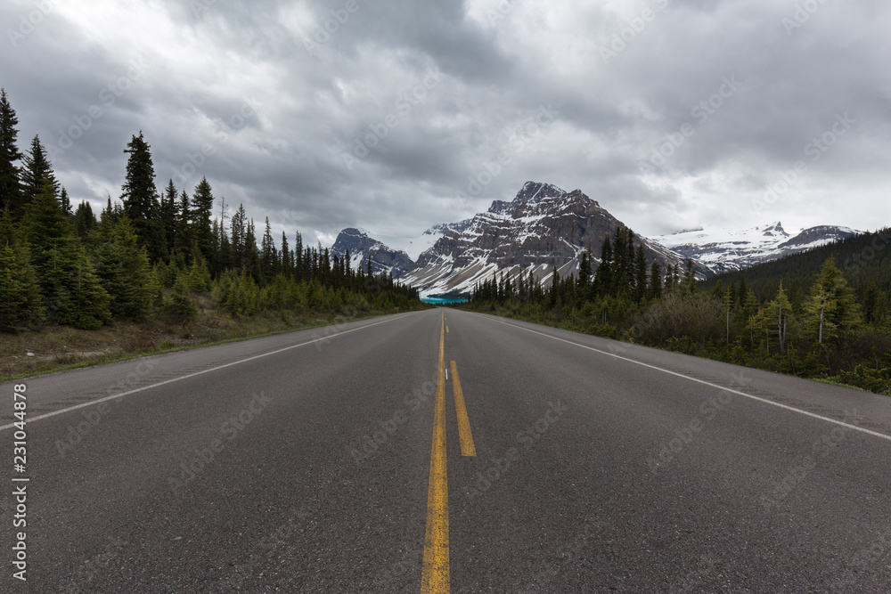 Fototapeta premium road in the mountains