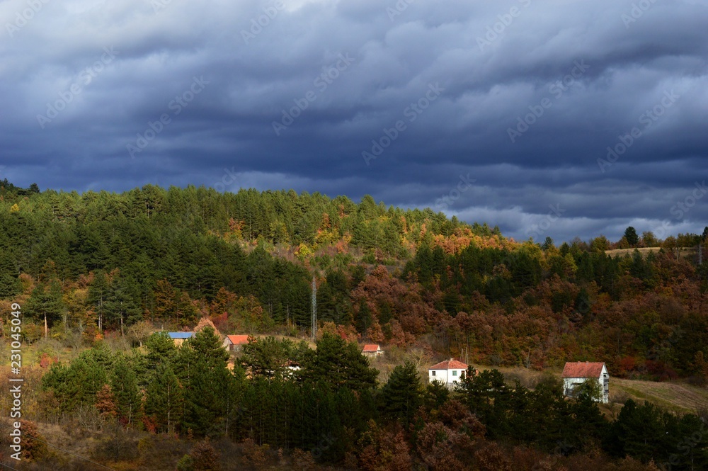 autumn landscape of the village
