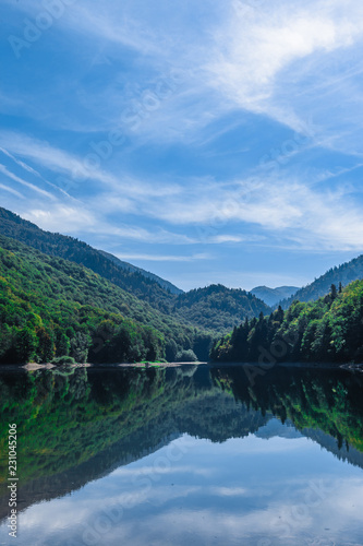 Biogradsko lake in the national park Biogradska Gora  Montenegro  Europe 