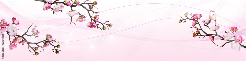 Naklejka premium Pink cherry flowers isolated on white background