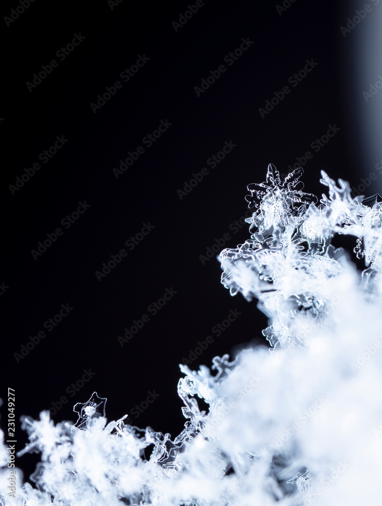 snowflake in the snow, winter snowflake in the snow, winter