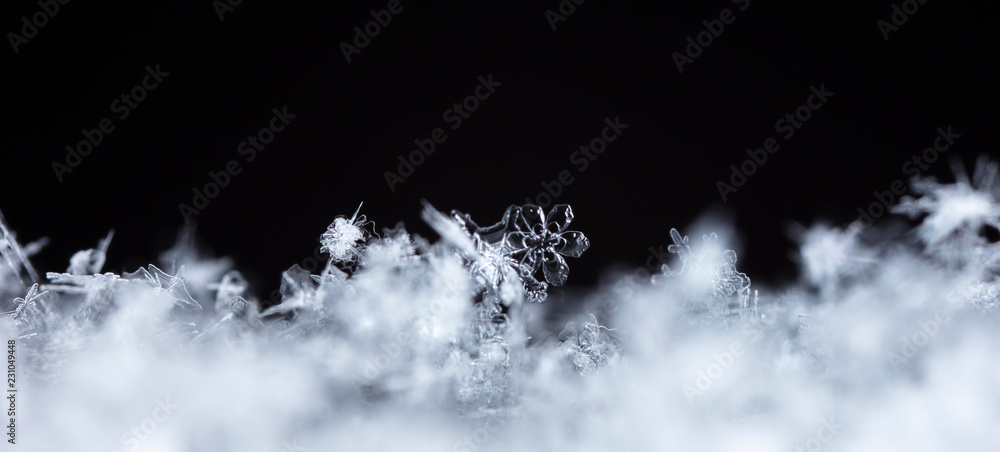 snowflake in the snow, winter snowflake in the snow, winter