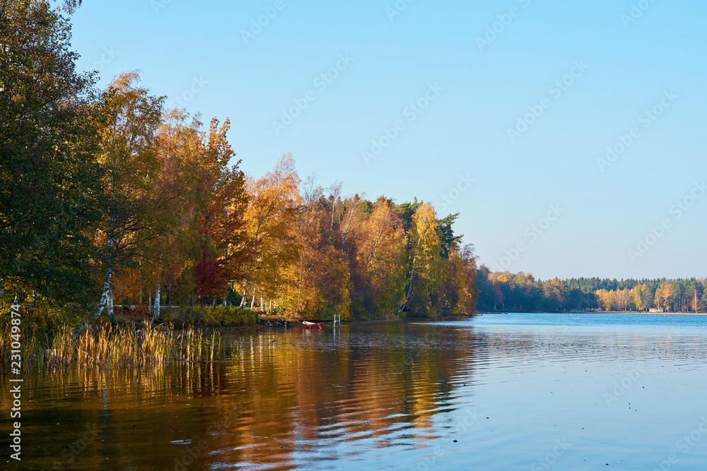 Obraz premium Autumn on the lake. Colorful trees are reflecting in water.