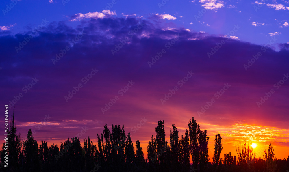 Obraz premium Landscape with dramatic light - beautiful golden sunset with saturated sky and clouds.