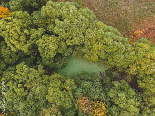 Pond in the forest from a height