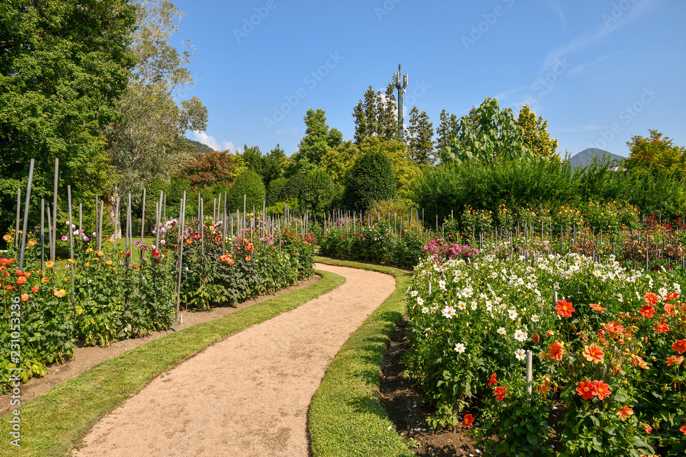 Sentiero in un giardino fiorito con aiuole di dalie colorate, alberi e arbusti in estate, Villa Taranto, Lago Maggiore, Italia