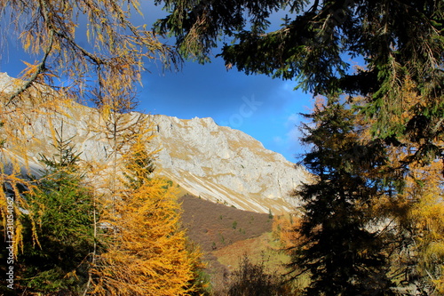 Hohe Veitsch im Herbst photo