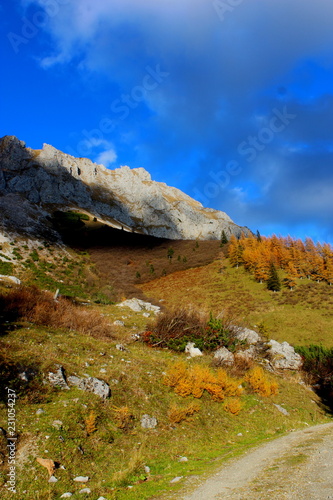 Hohe Veitsch im Herbst