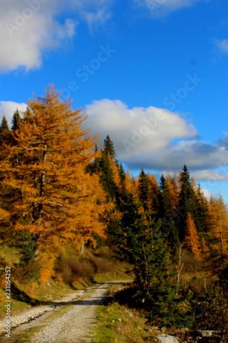 Herbst in der Steiermark