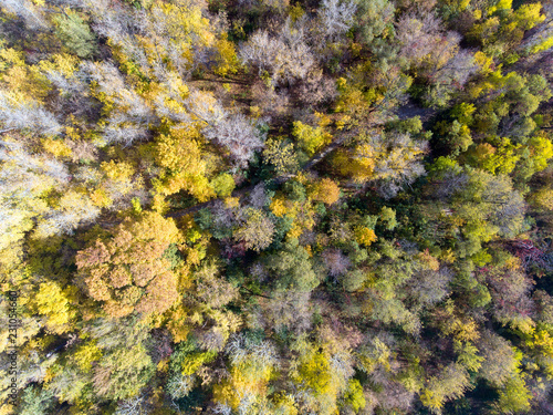 Fall Wood from above. Landscape. Aerial © Dmytro Kosmenko