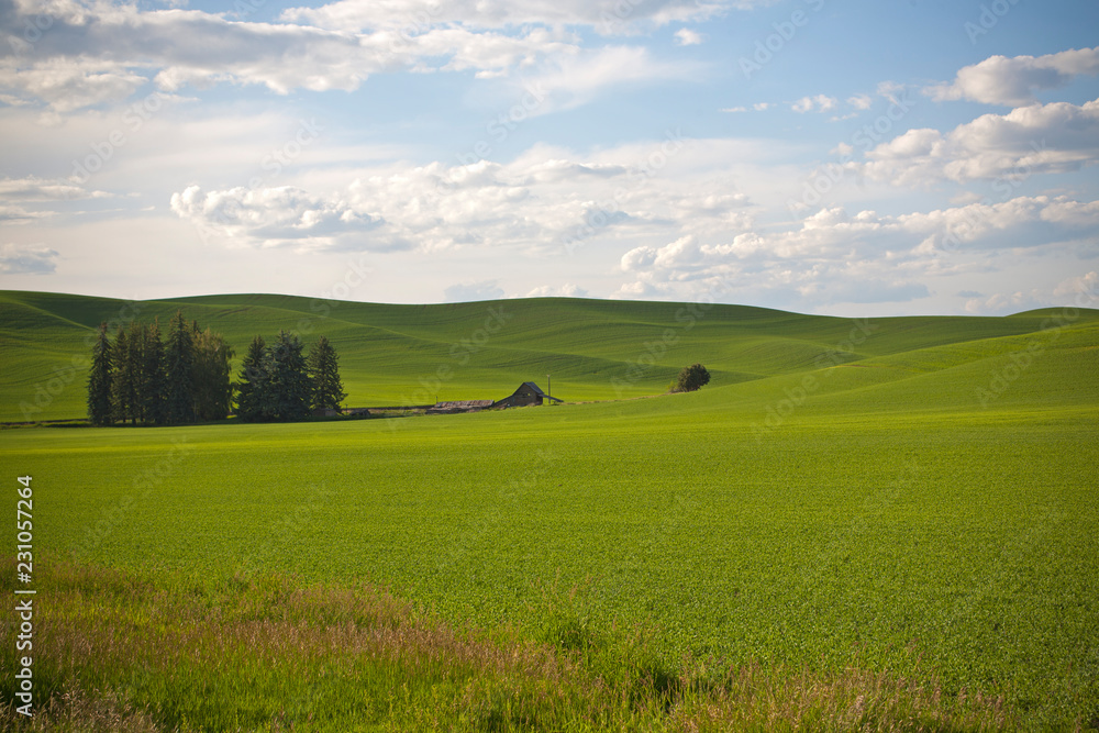 landscape in the field landscape in the field