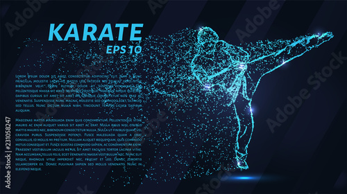 Karate of blue glowing dots. Karate strikes.