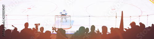 fans on the hockey match photo