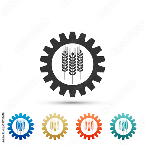 Wheat and gear icon isolated on white background. Agriculture symbol with cereal grains and industrial gears. Industrial and agricultural. Biotechnology concept. Flat design. Vector Illustration