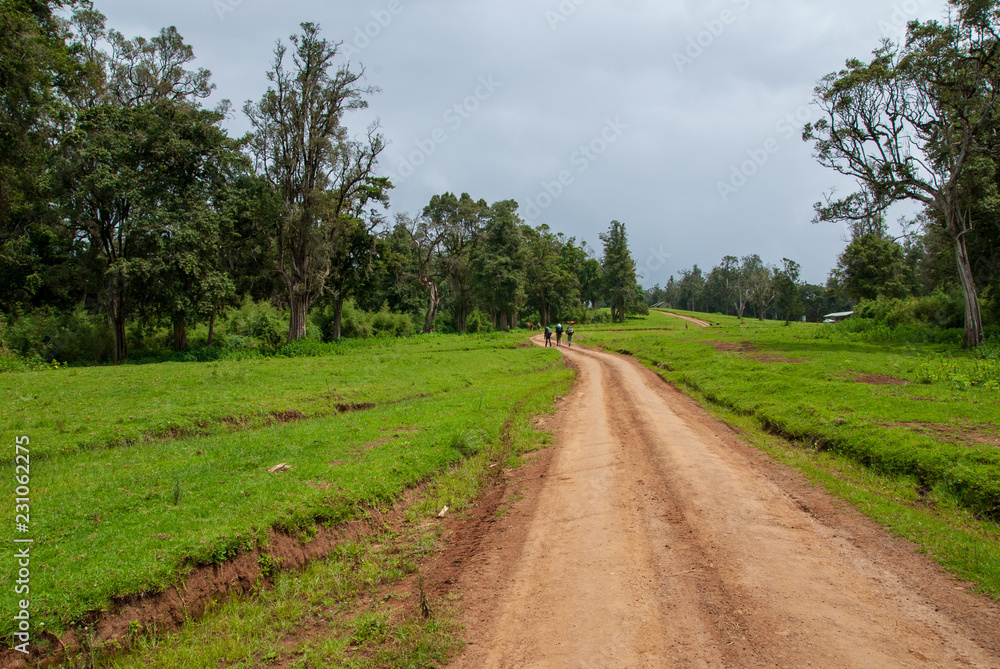 Naro Moru hiking trail in Mount Kenya National Park