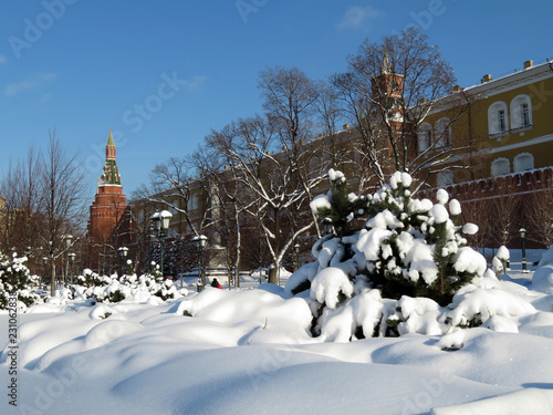 Canvas Print Russian winter, Moscow Kremlin in the snow
