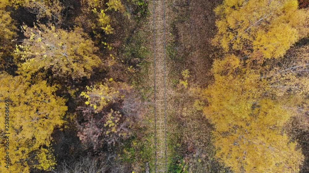 Flying over the railway that passes through the forest. Autumn. Aerial view. 4K Flying over the railway that passes through the forest. Autumn. Aerial view. 4K