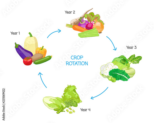 Crop rotation agricultural practice, farming seasonal cycle, soil nutritional energy renewal system