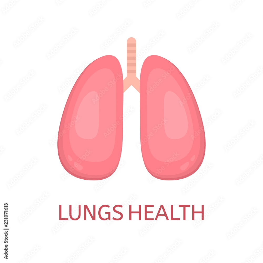 Lungs in flat style isolated on white background. Lungs health concept. Human lungs icon. Internal organ. Respiratory system. Healthcare. Vector illustration