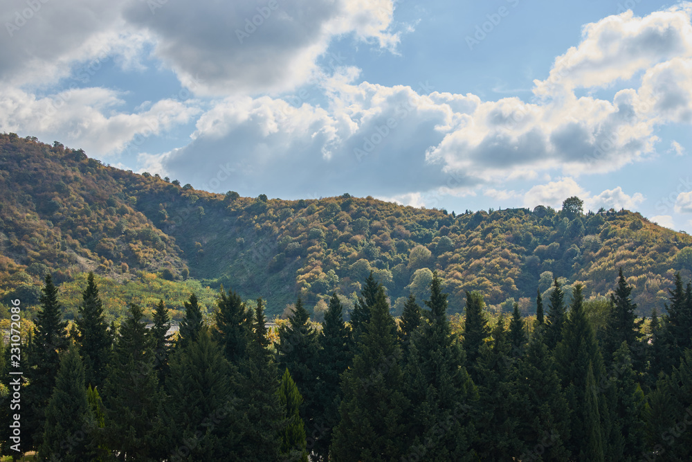 Mountain forest landscape with clouds, blue sky and green trees. wildlife.