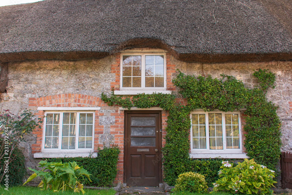 Thatched stucco, brick cottage adorned with ivy and several large windows