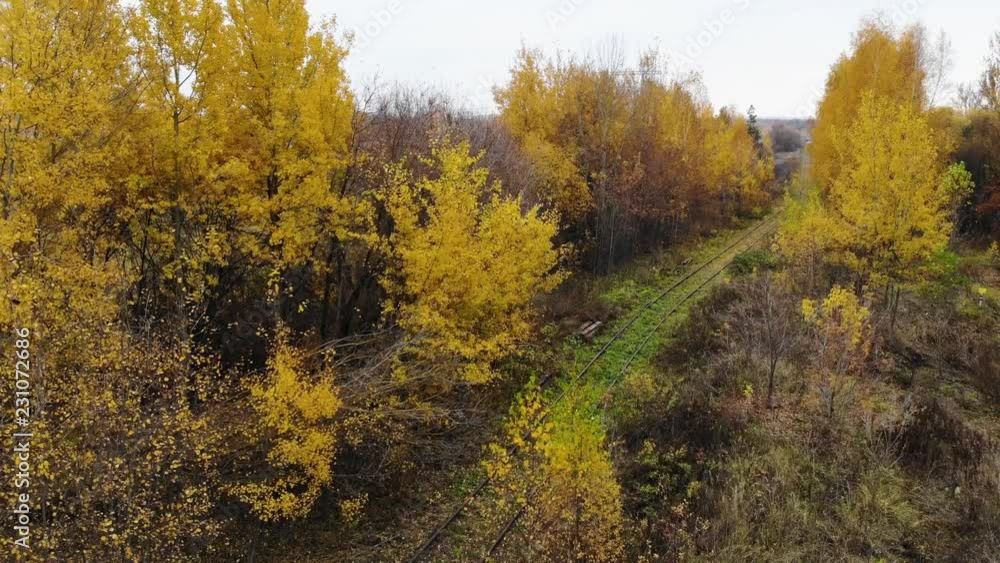 Flying over the railway that passes through the forest. Autumn. Aerial view. The camera goes up. 4K Flying over the railway that passes through the forest. Autumn. Aerial view. The camera goes up. 4K