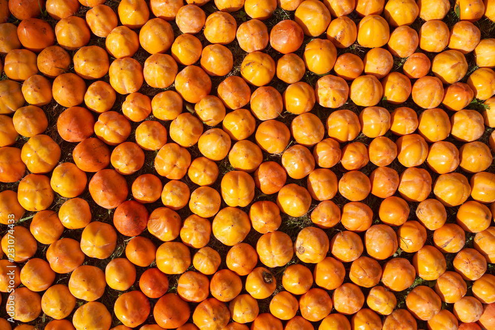 Fototapeta premium Fresh juicy persimmons fruit background, close-up. Agriculture and harvesting concept 