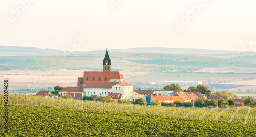 Landscape of czech town Moravia photo