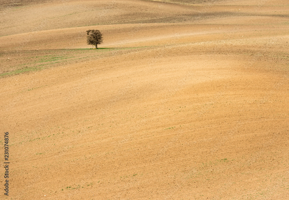 Aerial view of brown ground of field Aerial view of brown ground of field