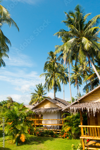 Vertical view of bamboo bungalows and palm trees