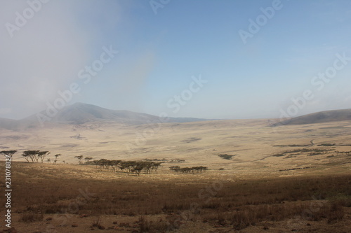 Sprawling landscape of the Serengeti