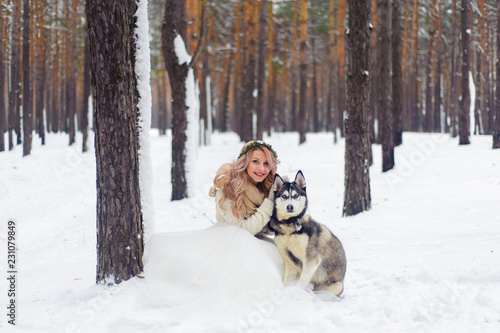 Cheerful newlyweds walks on the trail in the snowy forest with two siberian dogs. Winter wedding. Artwork. Copy space
