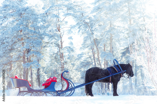 Fototapeta Naklejka Na Ścianę i Meble -  Harnessed horse with a sleigh in the snow-covered forest. Winter in the country.