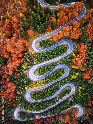 Quadro su tela Winding road from high mountain pass, in autumn season, with orange forest