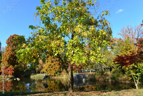 Herbststimmung im Schlossgarten Hanau photo