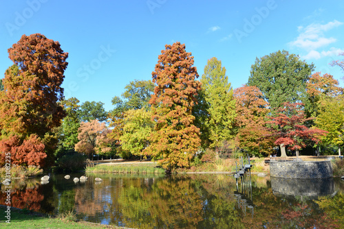 Herbststimmung im Schlossgarten Hanau